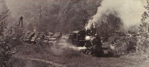 Train pulling out logs.